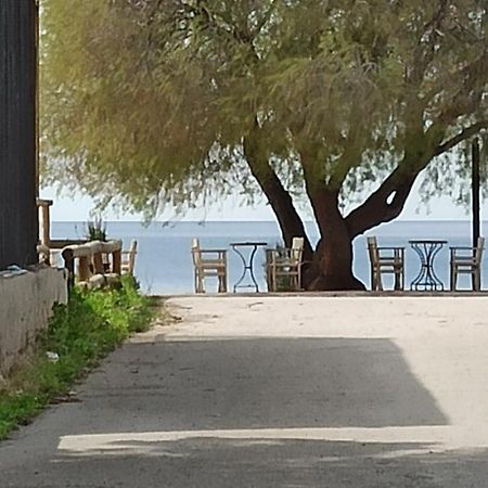Ψάθα Παραλία Villa Exterior photo